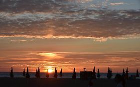 Les Parasols De Trouville